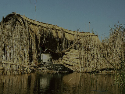 Reed houses, Iraq marshes 1978 
