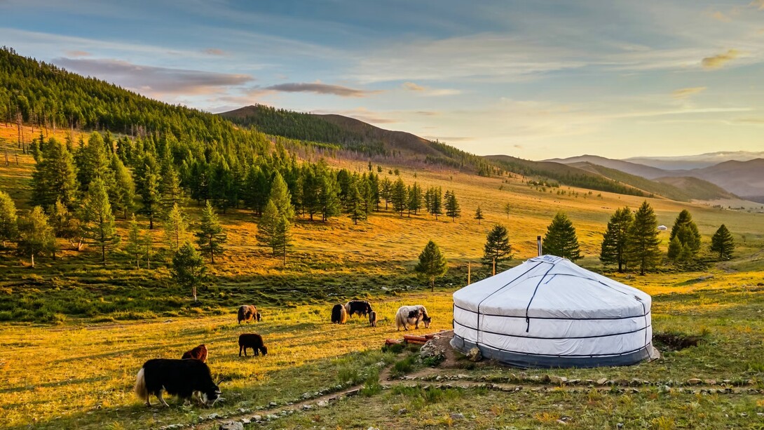 La Mongolia è il paese sovrano meno densamente popolato al mondo