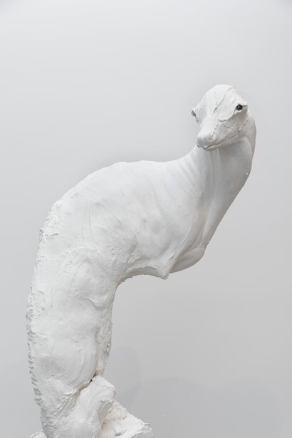 Cajsa von Zeipel, 180°, 2025. Courtesy of Company