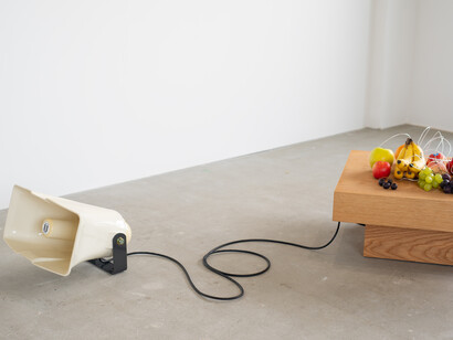 Yuko Mohri, Decomposition (detail), 2022. Courtesy of Govett-Brewster Gallery 