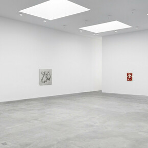 Paul Sistema, exhibition view. Courtesy of Matthew Marks Gallery