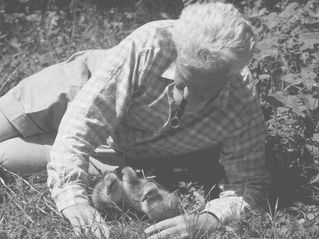 Secondo Lorenz, la grande maggioranza degli individui attualmente viventi offre resistenza ai rapidi mutamenti genetici