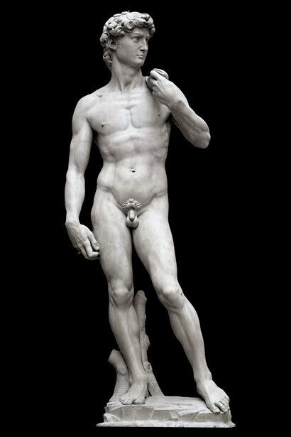 Il David di Michelangelo
