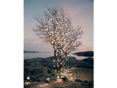 Rune Guneriussen, The heirs motivational speech, 2013, C-print, Edition of 5