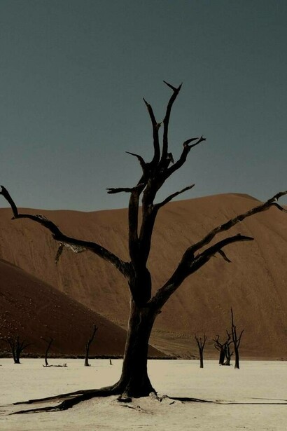 Drought in a desert