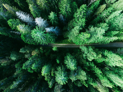 Un essere vivente è di per sé in relazione con l’ambiente che lo circonda