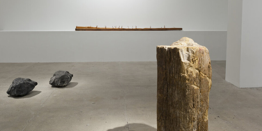 Giuseppe Penone. Courtesy of Marian Goodman Gallery