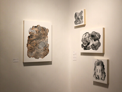 Mokha Laget, Elemental drift, exhibition view. Courtesy of Turner Carroll Gallery 