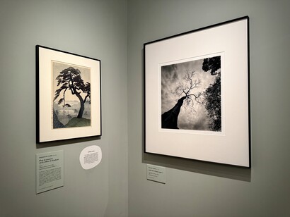 Michael Kenna, Silver haikus, Asia photographed, exhibition view. Courtesy of Guimet Museum