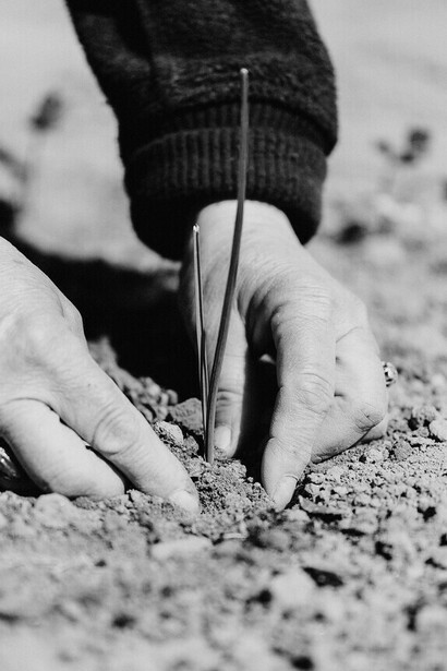 Desertificación: el miedo ya no se refiere a la escasez de alimentos, sino a la capacidad de carga de la Tierra en vista del actual cambio climático y la pérdida de biodiversidad