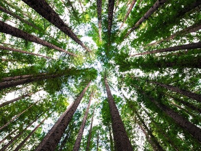 Legislators, regulators and consumers need to limit products' emissions and toxins from their cradles to their graves