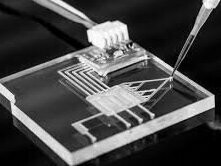 A lab on a chip: precise fluid control inside transparent microchannels