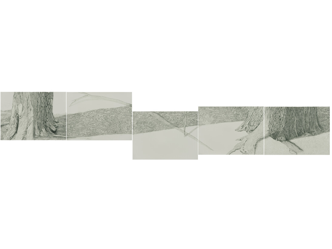 Gabriela Albergaria, O Balanço da Árvore Exagera a Tempestade, 2014, Pencil on paper, 55 x 77 cm. Photo Edouard Fraipont
