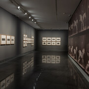 Eadweard Muybridge, vista de  exhibición. Cortesía del Museo Universidad de Navarra