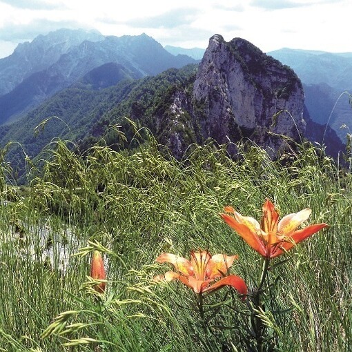 Monte Zugna