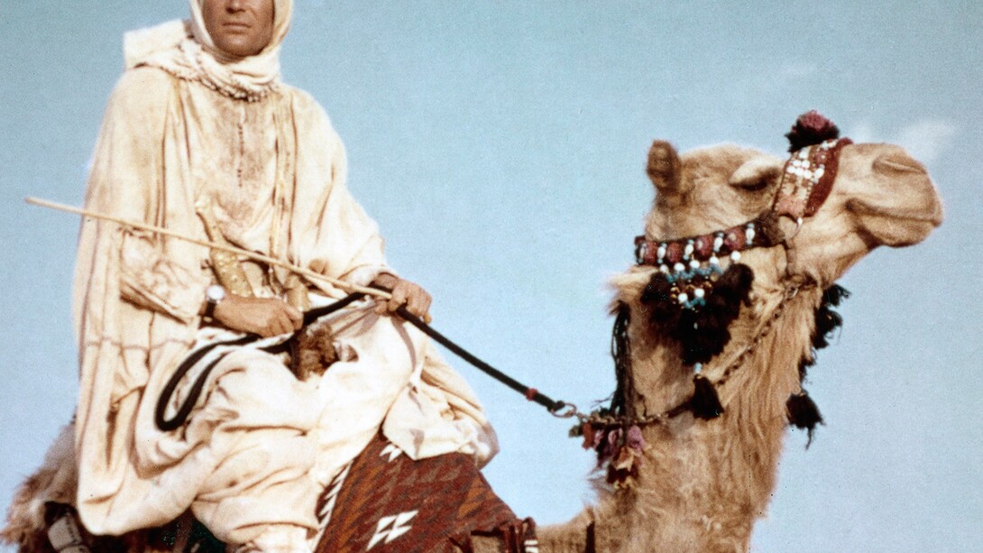 Peter O'Toole como Lawrence de Arabia