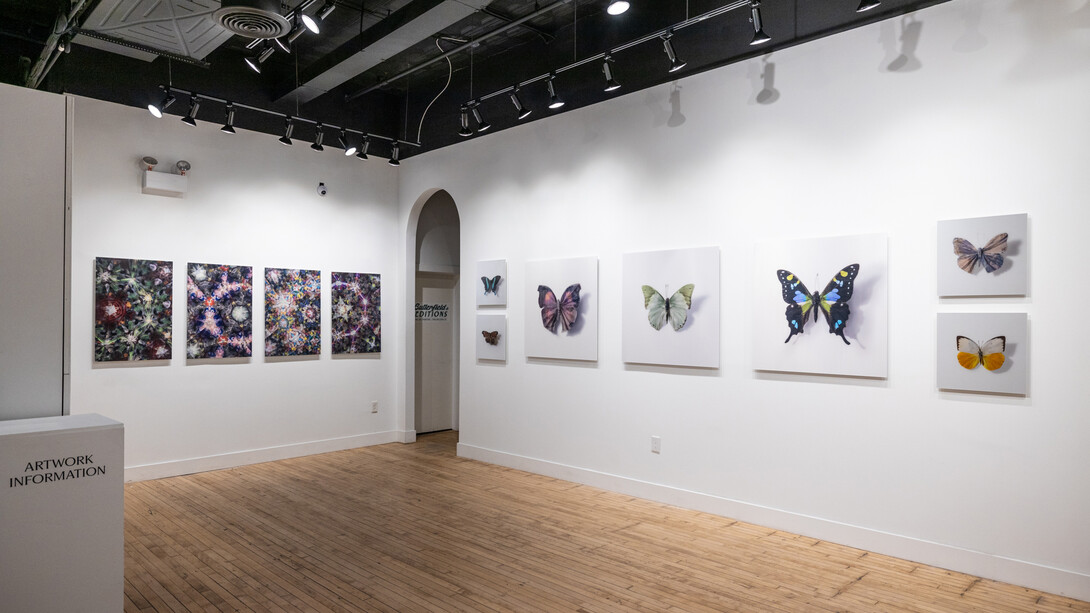 Installation View, Anna Tas, All Things Considered. Courtesy of Paradigm Gallery + Studio