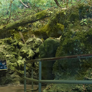 Waterways & Wildlife. Courtesy of Florida Museum of Natural History