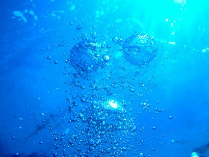El cuerpo humano es básicamente agua