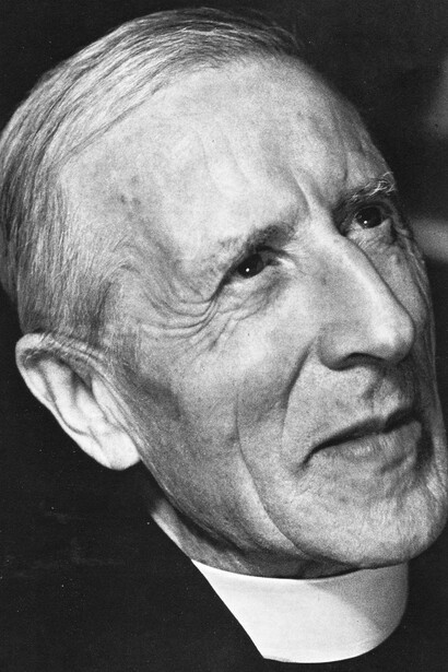 Ese amor que Teilhard de Chardin diría que era la afinidad del ser con el ser, la propiedad general de toda vida