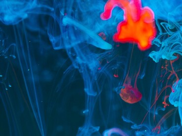Colori e spazi vengono ‘visti’ con altri sensi: un colore può essere freddo come il blu del mare, spazioso come un’eco in una stanza grande, mentre uno spazio si rivela attraverso il tatto, il suono, la molteplicità dei segni uditivi
