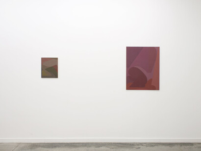 Nancy White, new paintings, exhibition view. Courtesy of Romer Young Gallery 