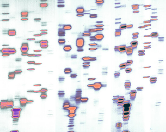 Iñigo Manglano-Ovalle. Courtesy of Christopher Grimes Gallery