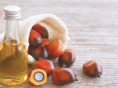 A table featuring palm oil and oil palm fruit illustrates their pivotal role in global industries and environmental discussions