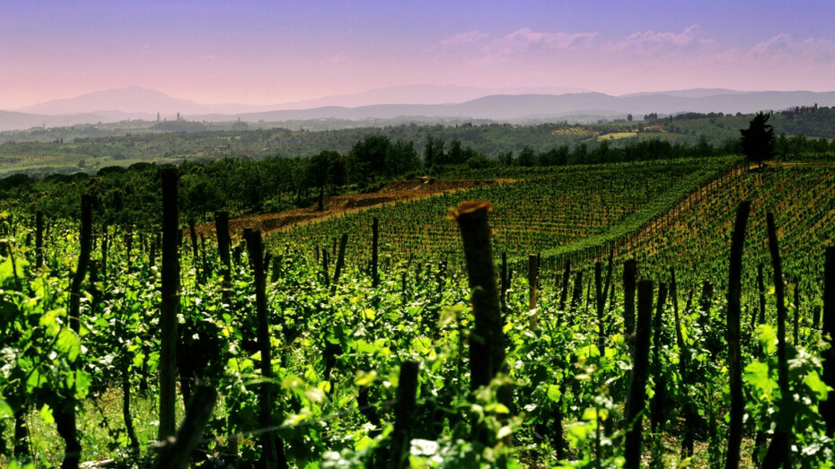 Vigneti nel Franciacorta