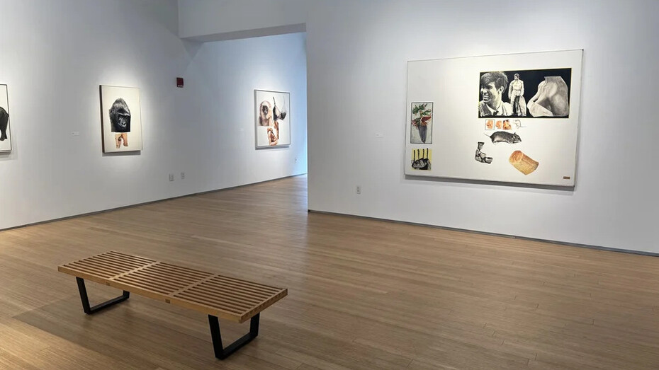 Joseph Raffael, White ground paintings, exhibition view. Courtesy of Nancy Hoffman Gallery