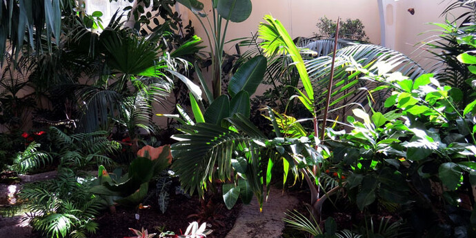 Butterflies. Courtesy of Regional Natural History Museum of Plovdiv