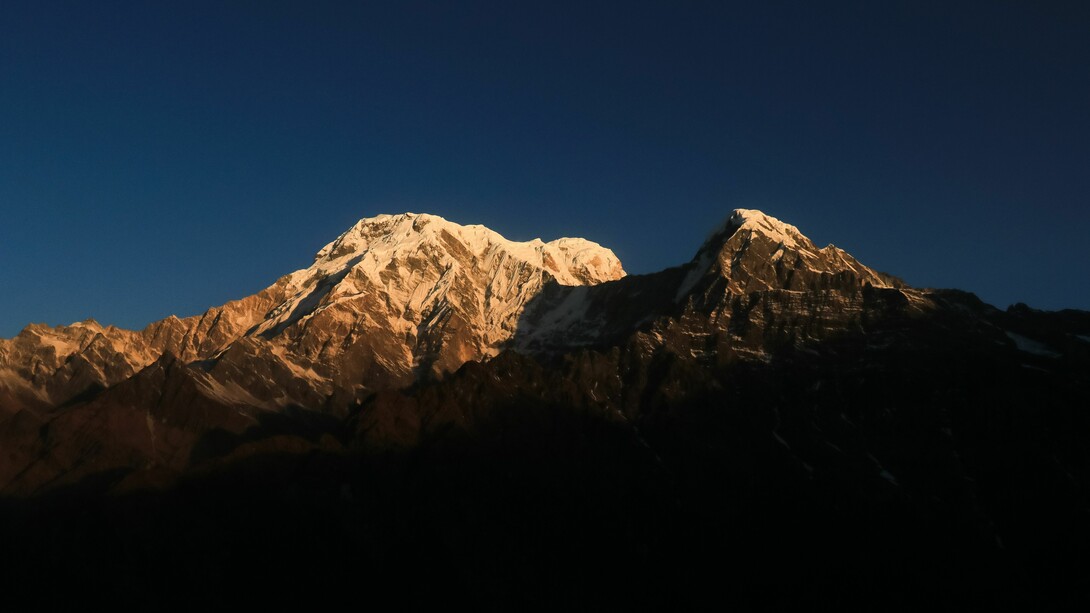Alba in Nepal