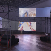 Shuang Li, Alliance, ausstellungsansicht. Mit freundlicher genehmigung der Kunsthalle Basel
