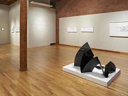Expanding the Line: Drawing, Video, and Sculpture. Courtesy of Cecilia de Torres, Ltd.