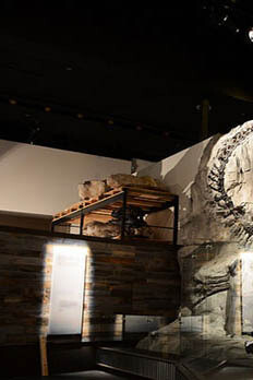 Foundations. Courtesy of Royal Tyrrell Museum