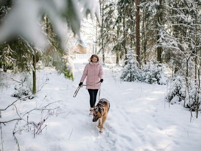 A woman and her dog are in pursuit to find out what the day brings them