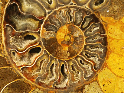 La espiral logarítimica aparece como un símbolo sagrado, entre ellos, el de Pacha Mama