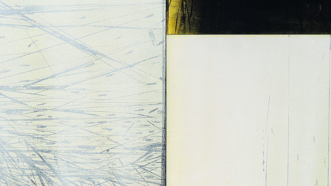 Franco Marrocco, Eco del bosco, 2014, tecnica mista su tela, cm. 120x180
