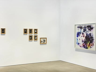 Matt Saunders, On an overgrown path, exhibition view. Courtesy of Marian Goodman Gallery