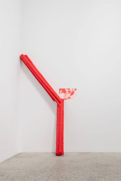 Rachel Harrison, The Friedmann equations, exhibition view. Courtesy of Greene Naftali Gallery