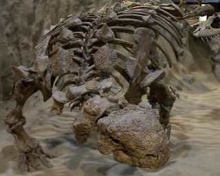 Dinosaur Hall. Courtesy of Royal Tyrrell Museum