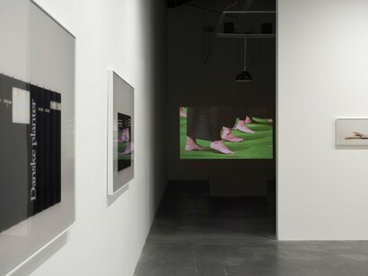 Hawaii, Exhibition view. Courtesy of Moskowitz Bayse