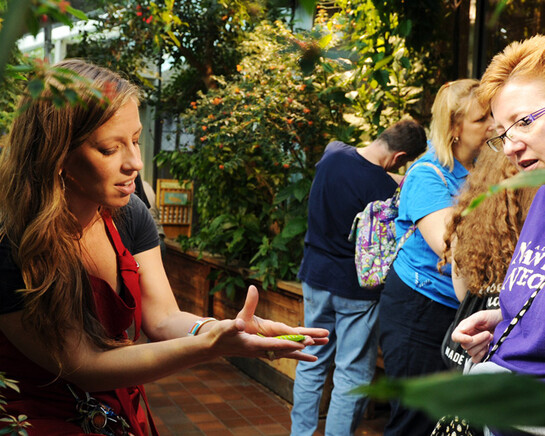 Butterfly Garden. Courtesy of Museum of Science 
