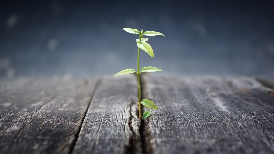 Attraversare i meandri più bui della vita