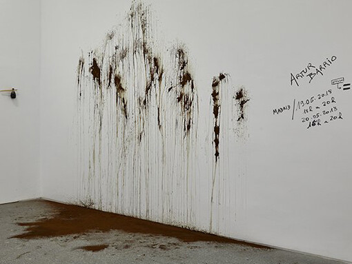 Artur Barrio. Courtesy of Museo Nacional Centro de Arte Reina Sofía