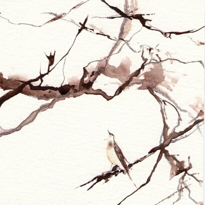Sophie Hurst, Nightingale, watercolor and pencil, 12 x 21, 2009
