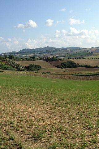 Greenery in Coriano, Rimmi, Italy