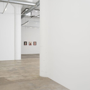 Roberto Diago, Presence, exhibition view. Courtesy of Vielmetter
