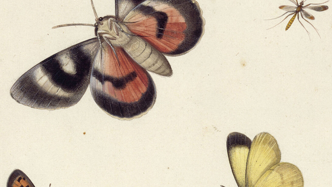 The Charm of the Small. Courtesy of Gemäldegalerie