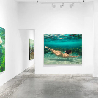 Martine Emdur, Synergia, exhibition view. Courtesy of Arthouse Gallery